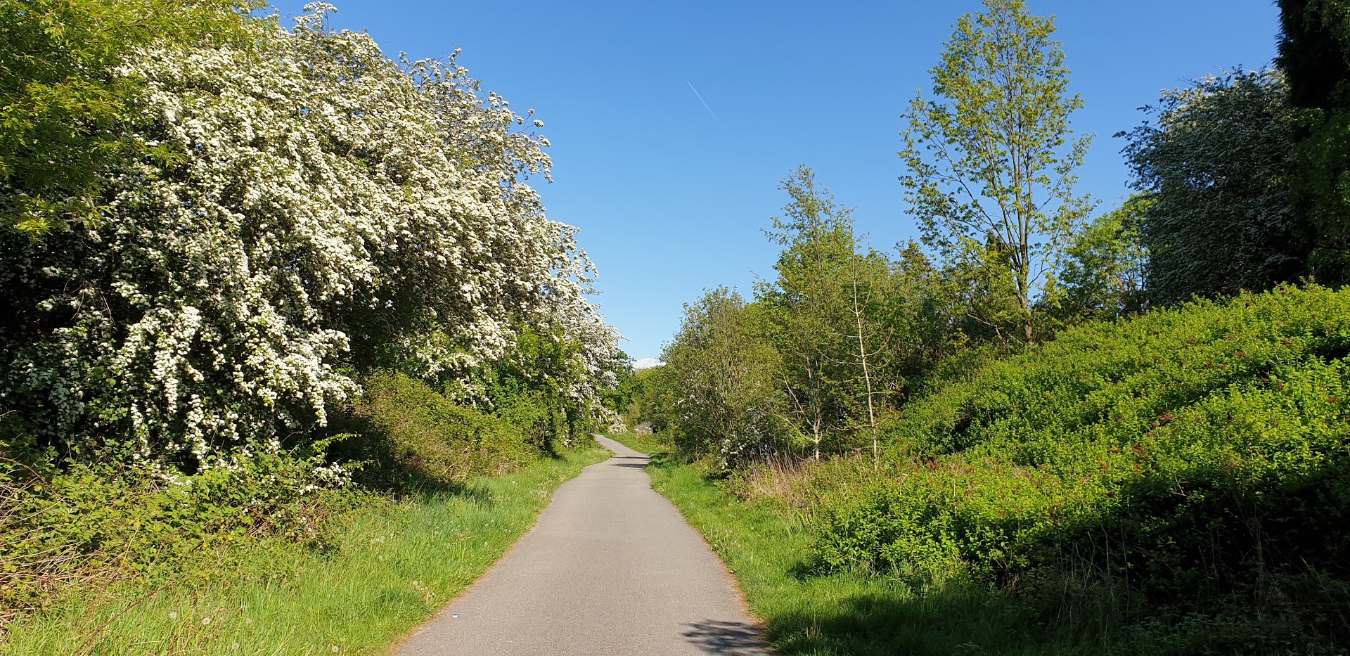 The Fallowfield Loop, um ótimo lugar para se andar de bike.